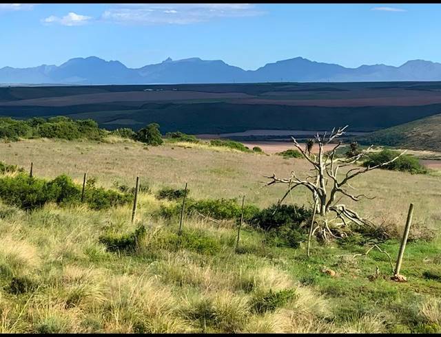 FARM FOR SALE IN MOSSEL BAY RURAL